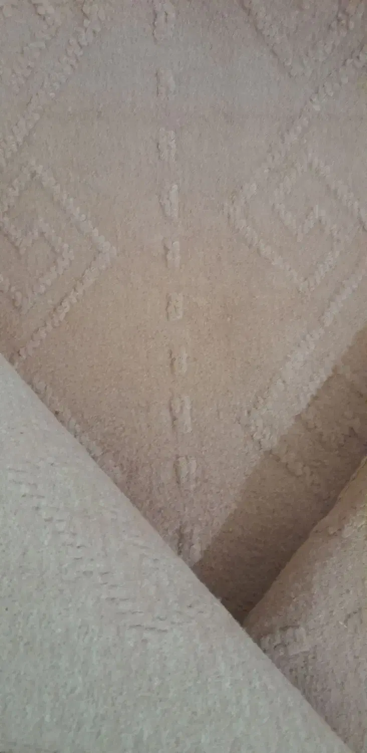 موکت|موکت|زابل, |دیوار