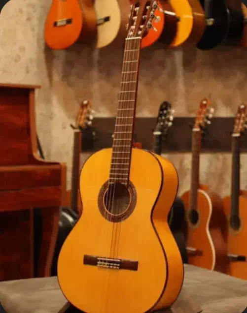 ساز کلاسیک|گیتار، بیس، امپلیفایر|تالش, هشتپر|دیوار