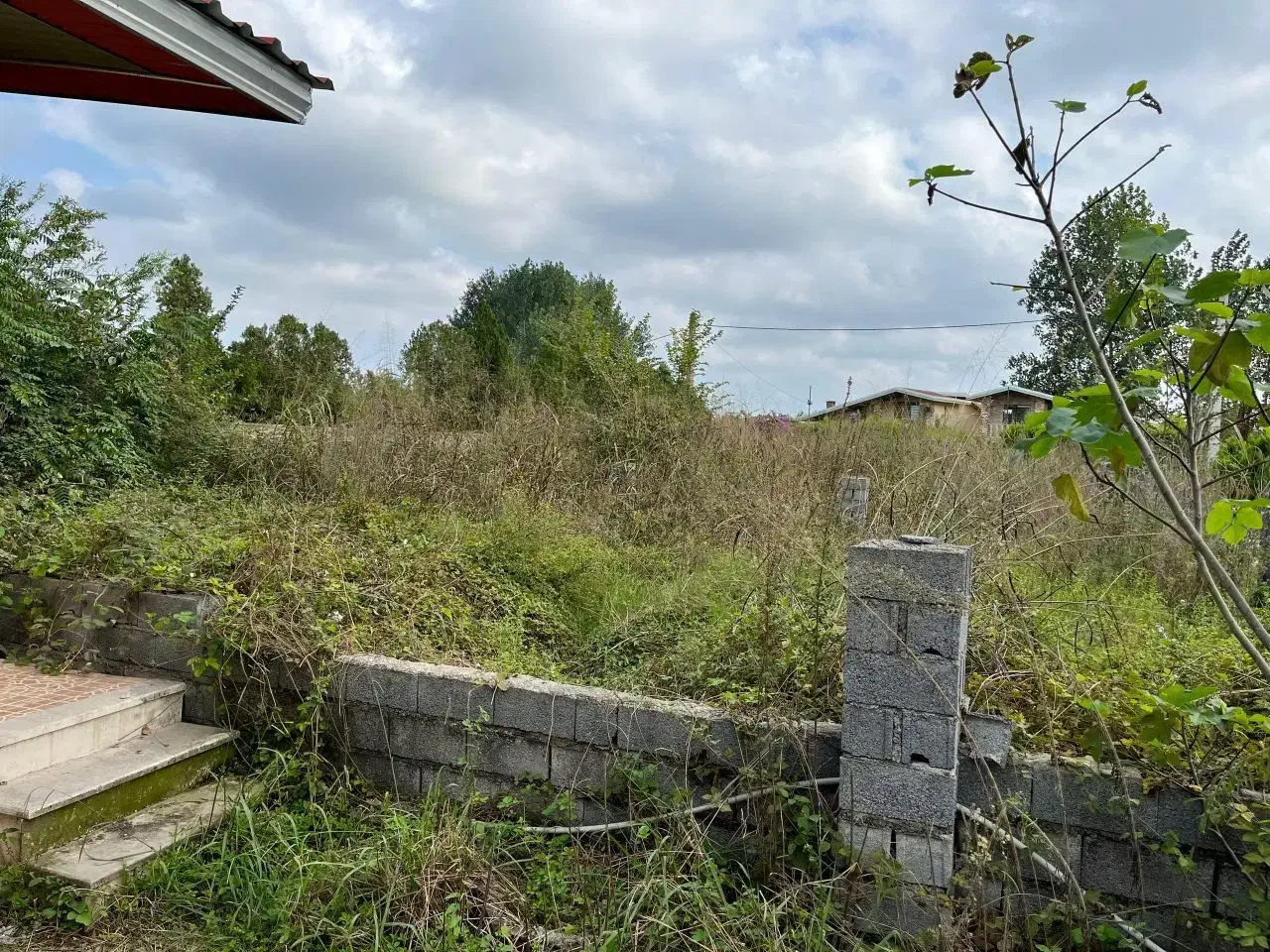 زمین ویلایی چسبیده به منطقه دشت نور|فروش زمین و ملک کلنگی|نور, |دیوار