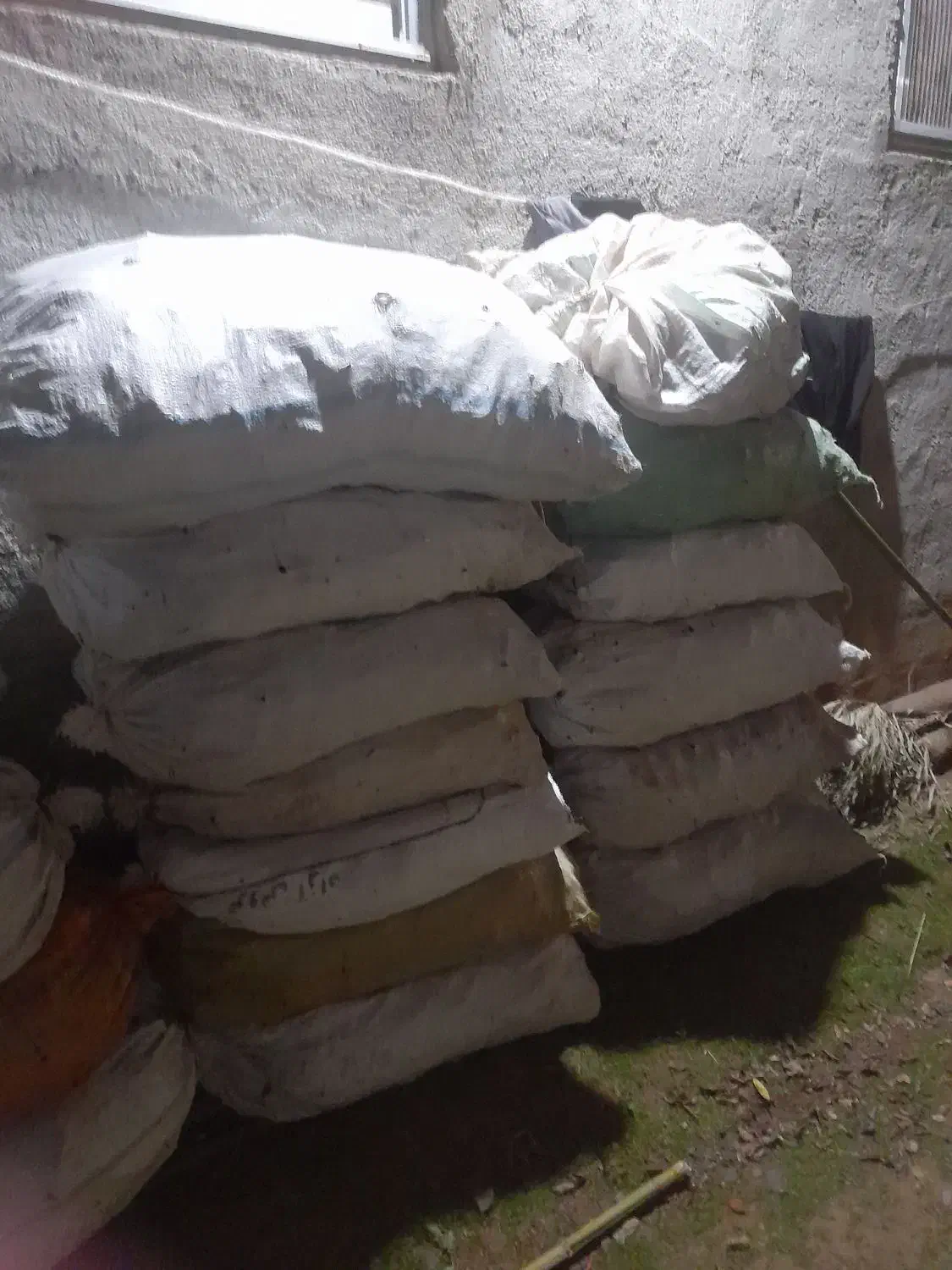 فرنگی للکی خوب|حیوانات مزرعه|گوراب زرمیخ, |دیوار