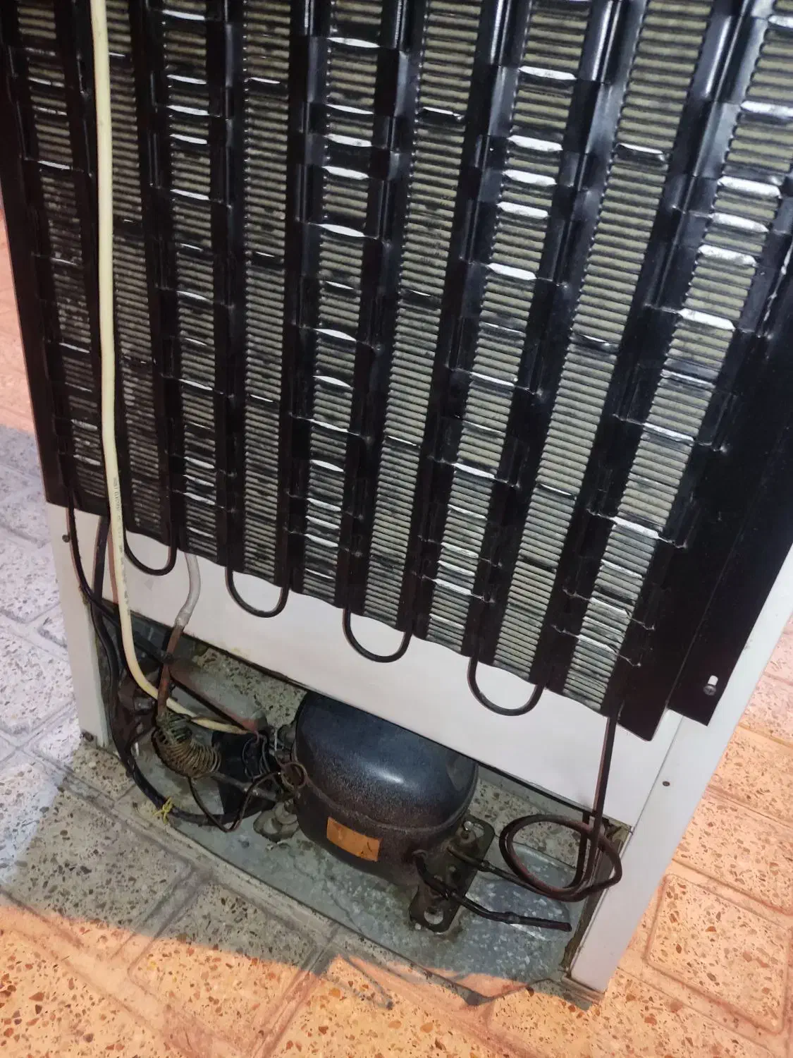 یخچال آزمایش ۱۰ فوت . کاملا  سالم و تمیز|یخچال و فریزر|تنکابن, |دیوار