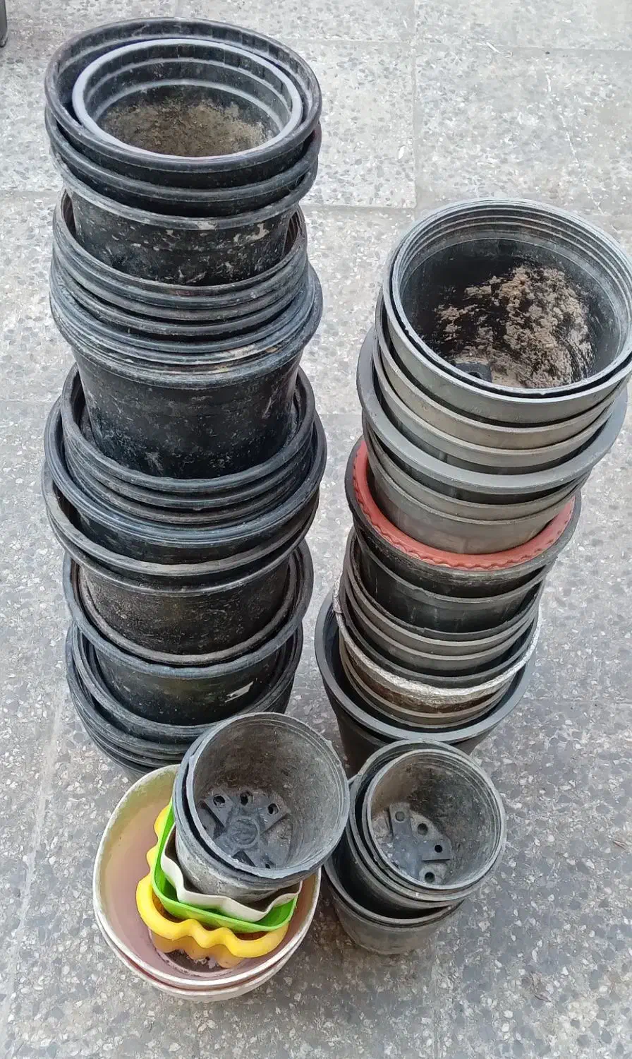 تعدادی گلدان کارکرده سالم|گل و گیاه طبیعی|رودسر, |دیوار