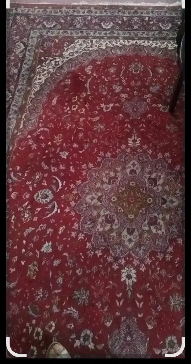 فروش|فرش|کرج, شهرک ولیعصر|دیوار