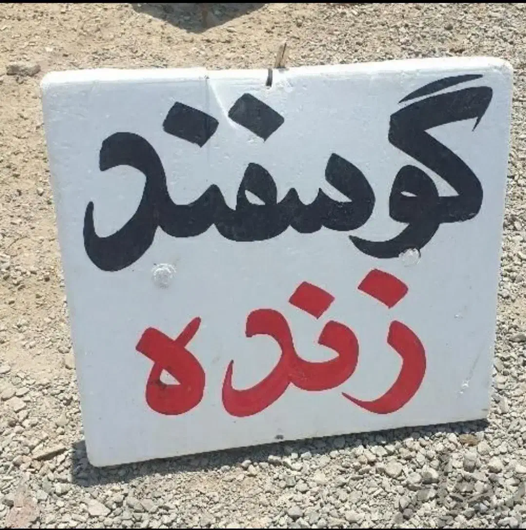 دامداری دارای تنوع زیاد گوسفند زنده +وزن وهرنژاد+|حیوانات مزرعه|مشهد, شهرک رازی (شهرک غرب)|دیوار