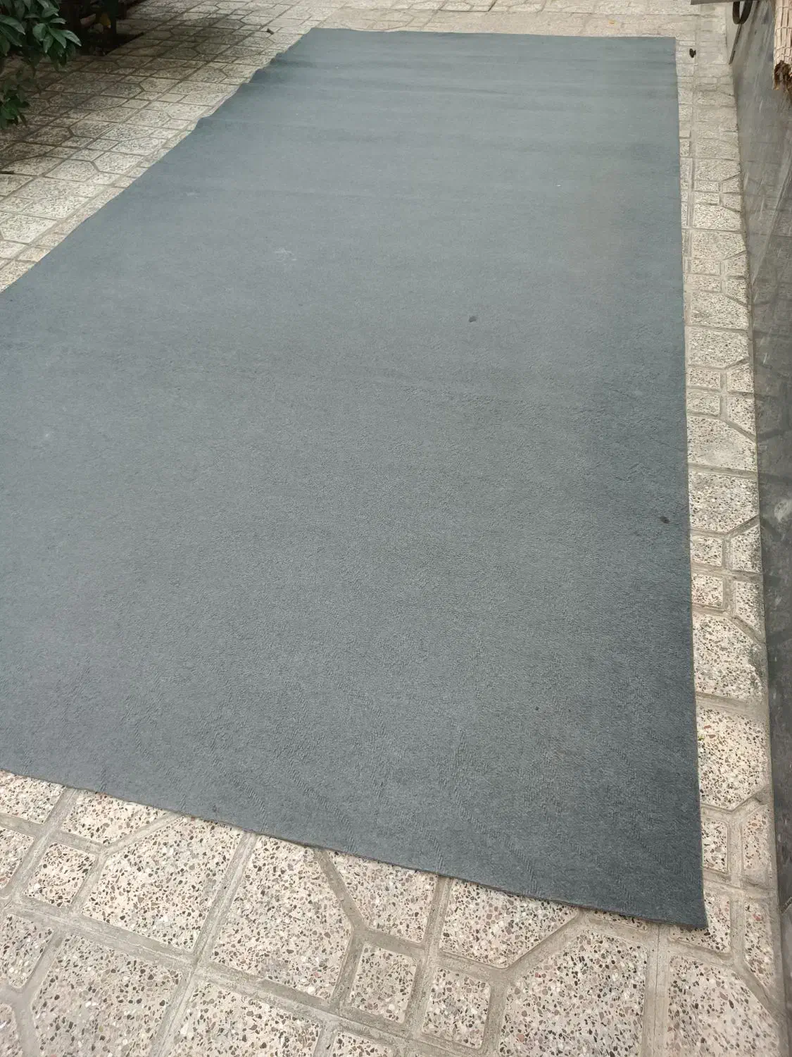 رنگ طوسی موکت خانواده|موکت|گنبد کاووس, |دیوار