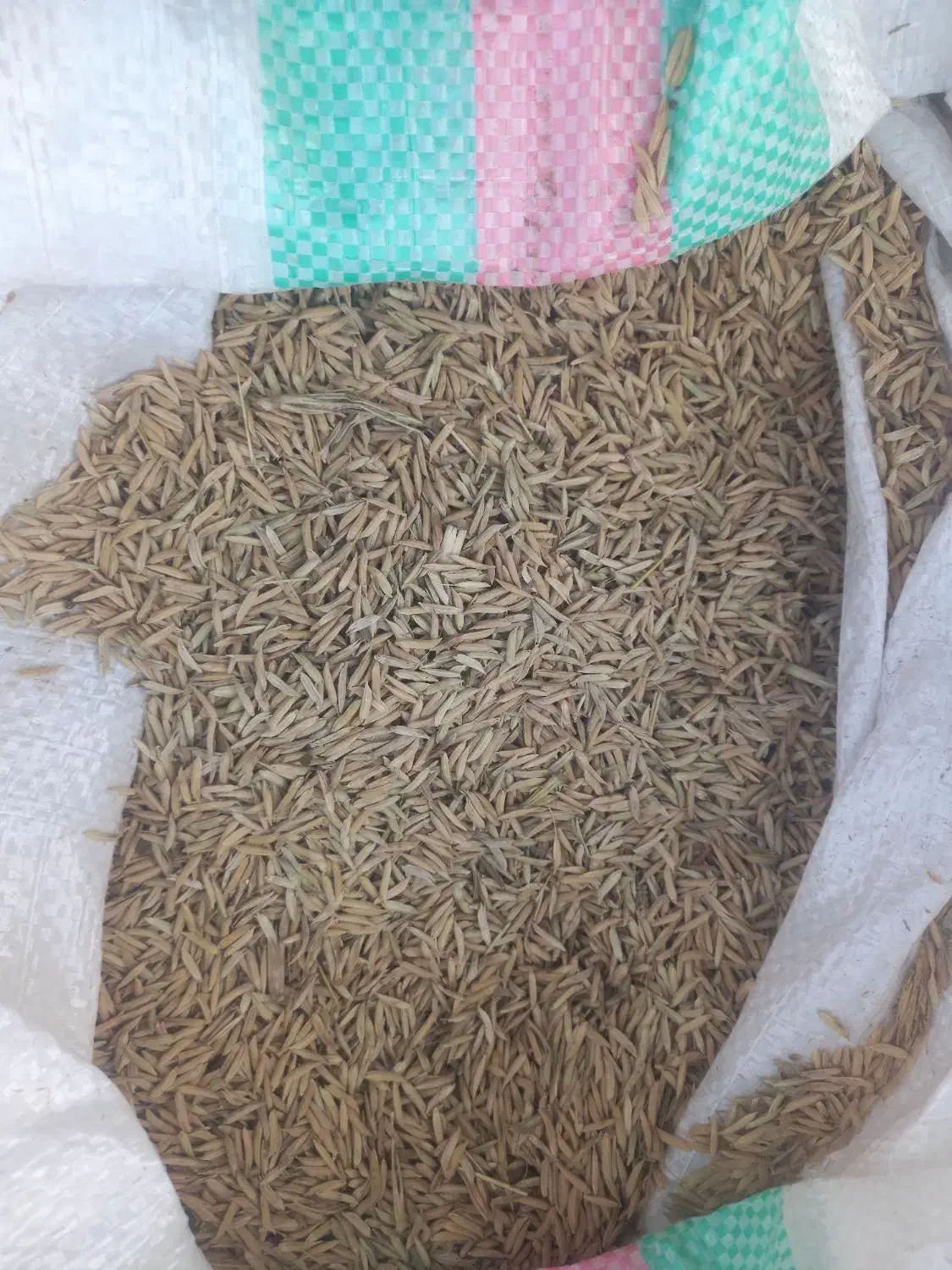 شالی فجر|خوردنی و آشامیدنی|کلاله, |دیوار