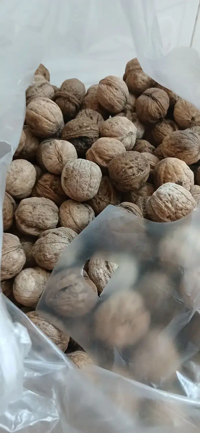 گردو کیلویی ۴۰۰ هزار تومان|خوردنی و آشامیدنی|دهدشت, |دیوار