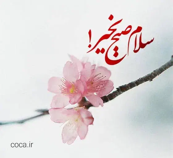 سیم کارت رند همراه اول|سیم‌کارت|مشهد, بهشت|دیوار