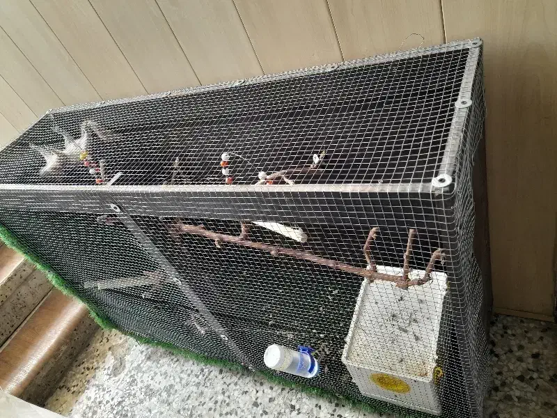 قفس|لوازم جانبی حیوانات|ارومیه, |دیوار