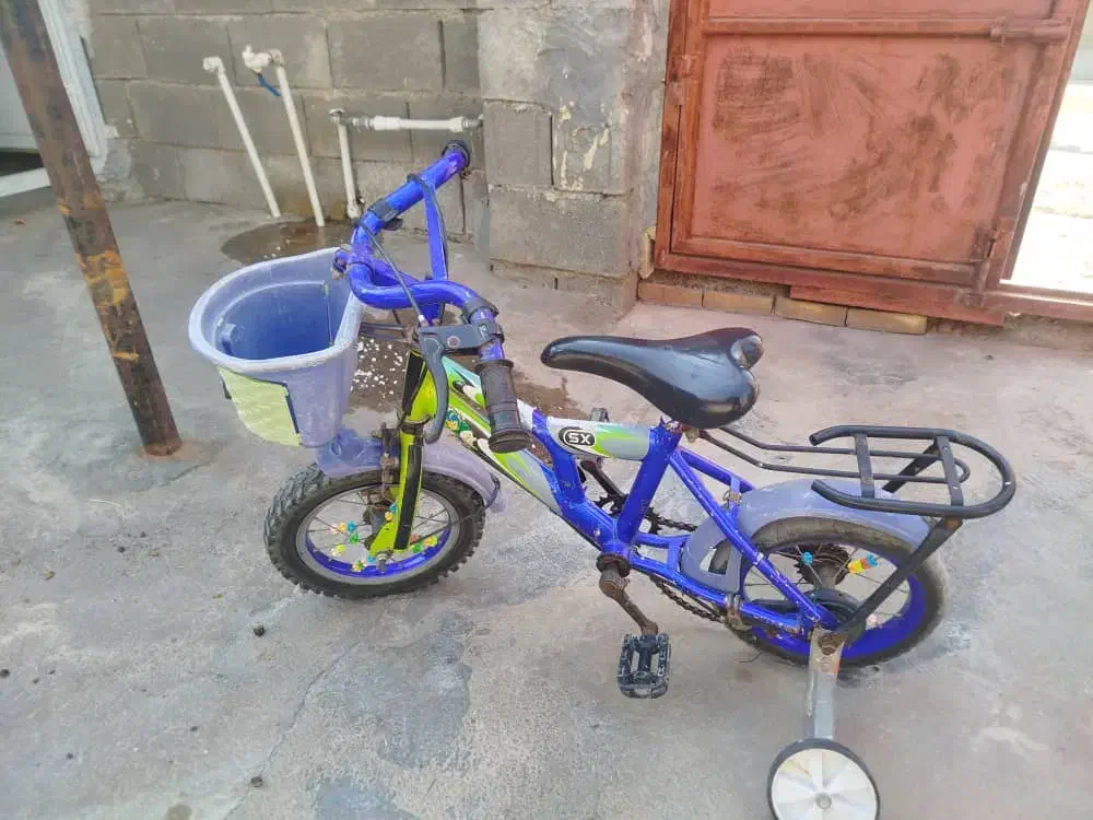 دوچرخه ۱۲|دوچرخه، اسکیت، اسکوتر|باغ ملک, |دیوار