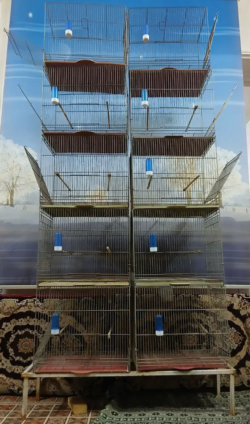 قفس جفت خون سفارشی آپارتمانی مخصوص سالن و مغازه|لوازم جانبی حیوانات|قم, الوندیه و گذر صادق|دیوار