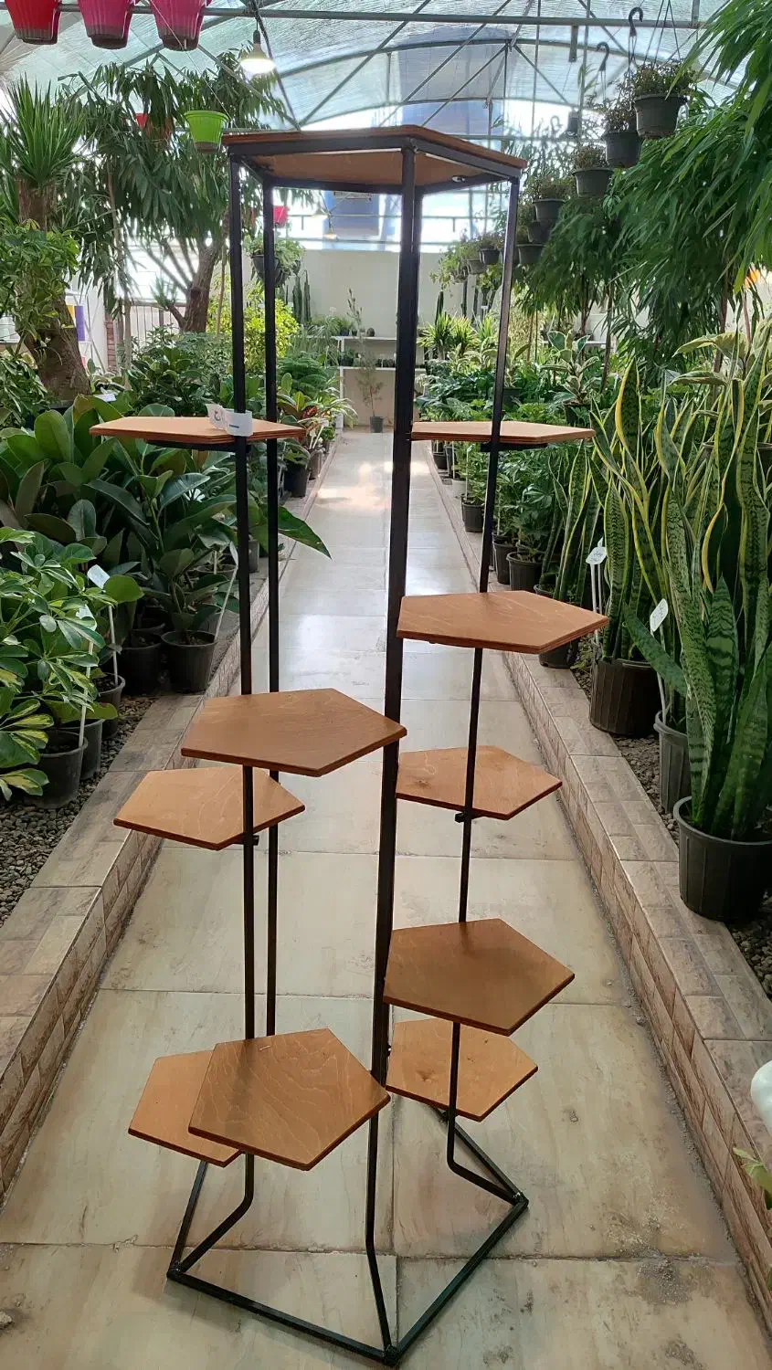 استند فلزی و چوب فلز|گل و گیاه طبیعی|کرمان, |دیوار