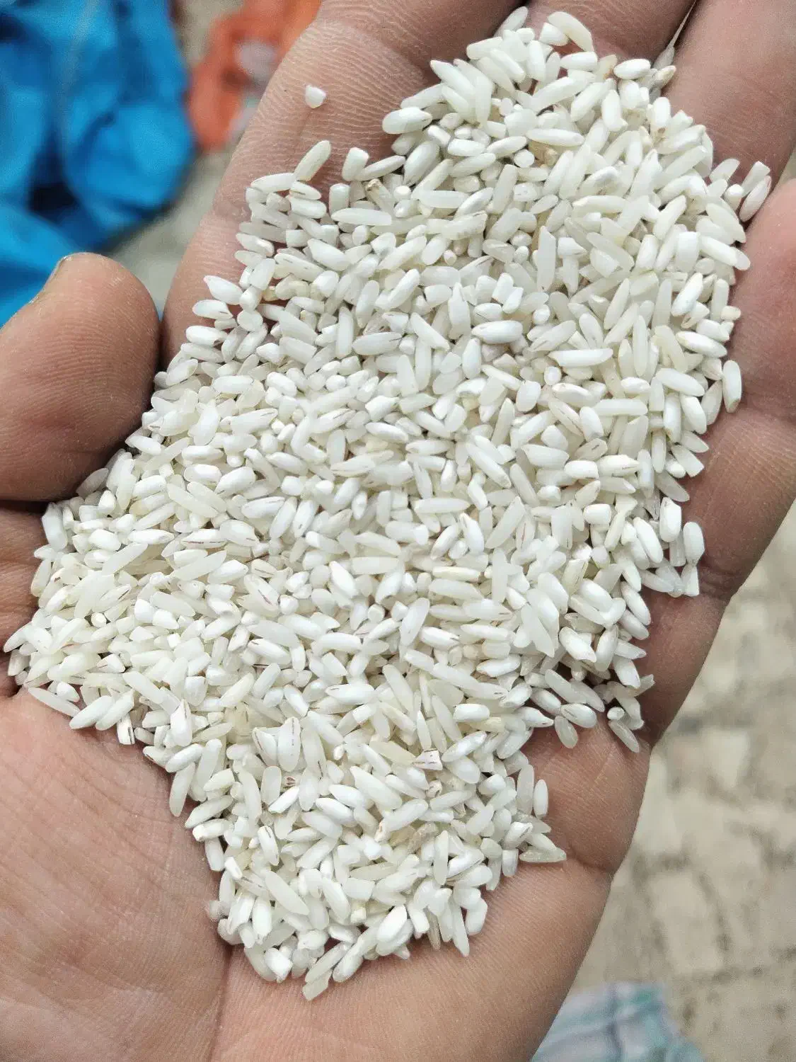 برنج هاشمی عطری|عمدهفروشی|رشت, جانبازان|دیوار