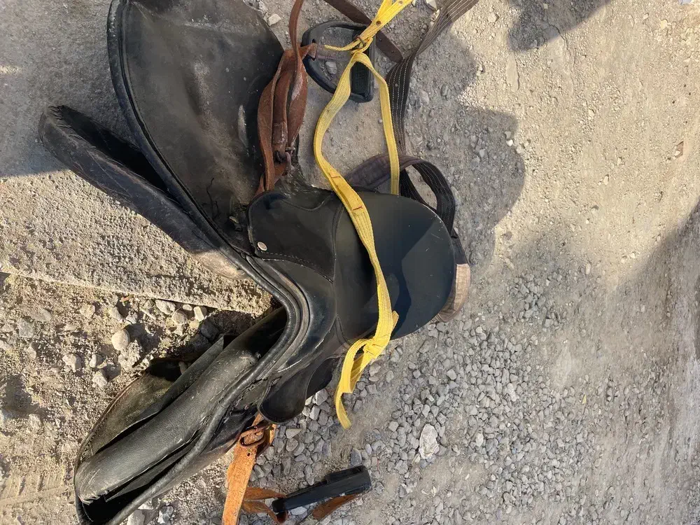 زین اسپ|اسب و تجهیزات اسب‌سواری|قشم, |دیوار