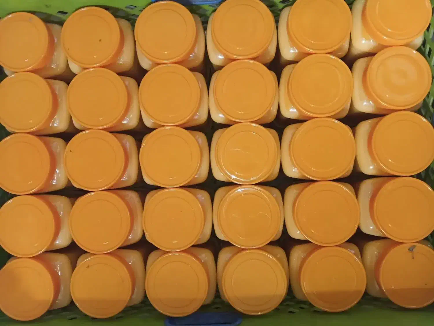 روغن زرد|خوردنی و آشامیدنی|مشهد, هفده شهریور|دیوار