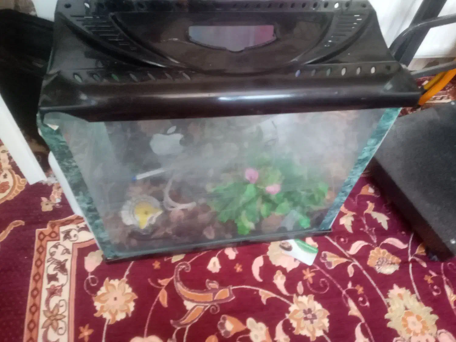 تعدادی وسائل نو وکارکرده|سایر لوازم برقی|تبریز, |دیوار