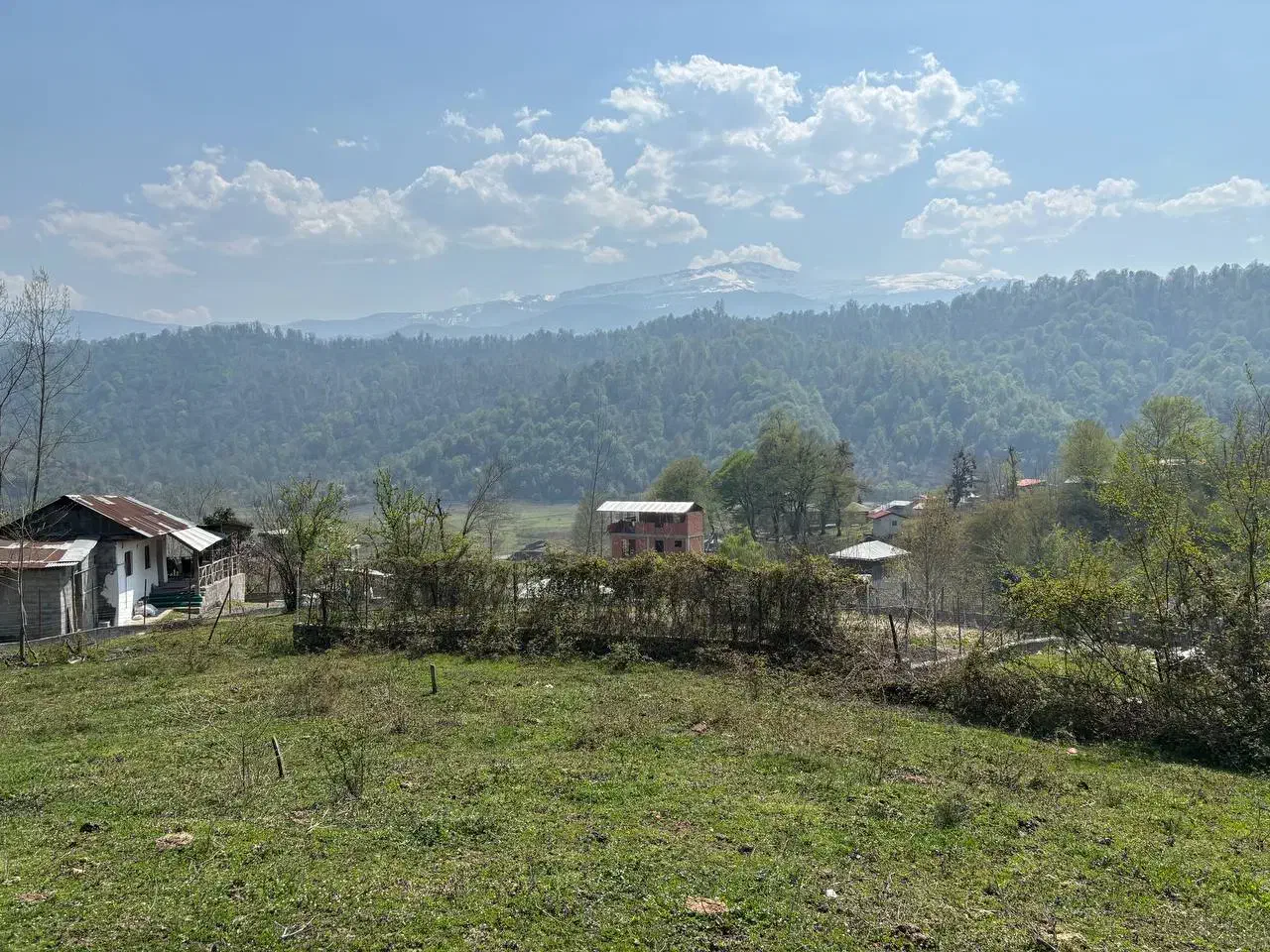 زمین فروشی|فروش زمین و ملک کلنگی|آلاشت, |دیوار