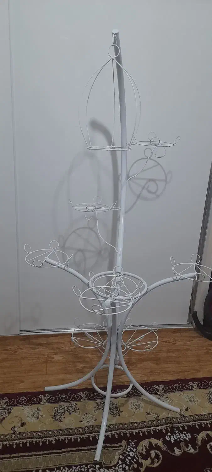 استندگلدان|گل و گیاه طبیعی|سهند, |دیوار