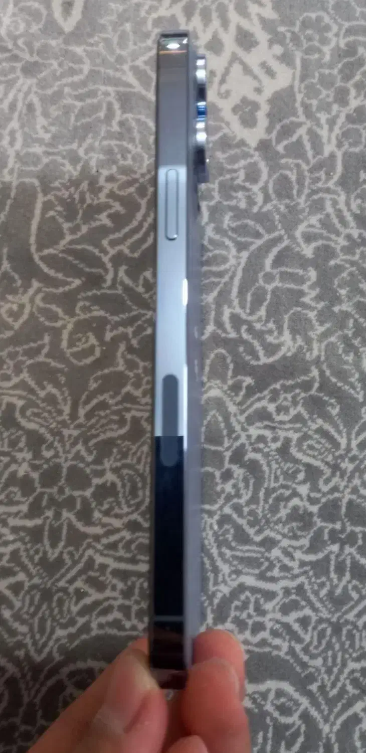 آیفون ۱۳پرومکس حافظ ۱ترا|موبایل|بردسیر, |دیوار