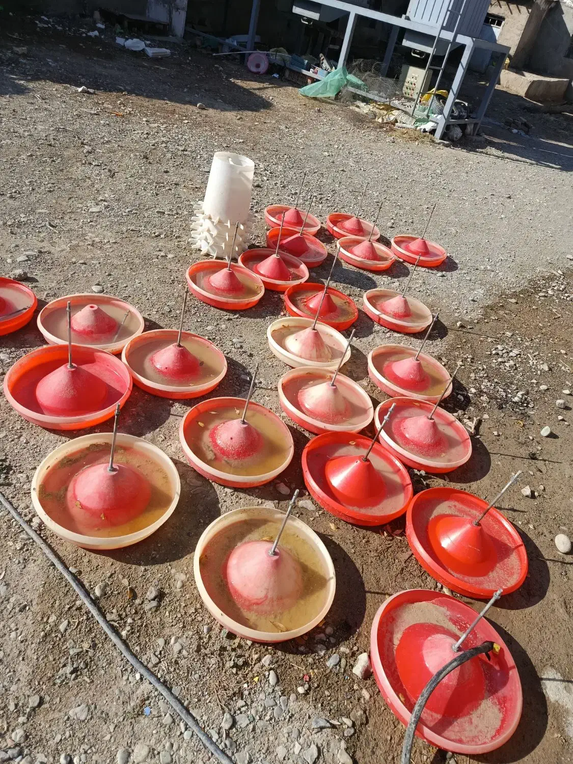 تجهیزات مرغداری|ماشینآلات صنعتی|ماهدشت, |دیوار