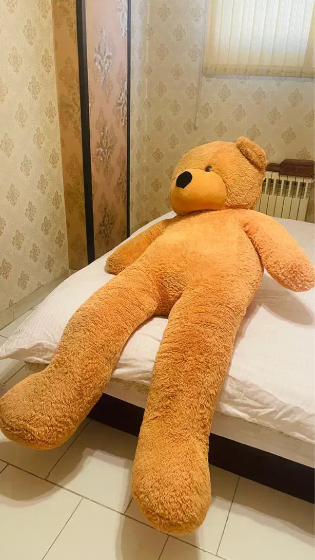 عروسک|کلکسیون و سرگرمی|اصفهان, باغ زیار|دیوار