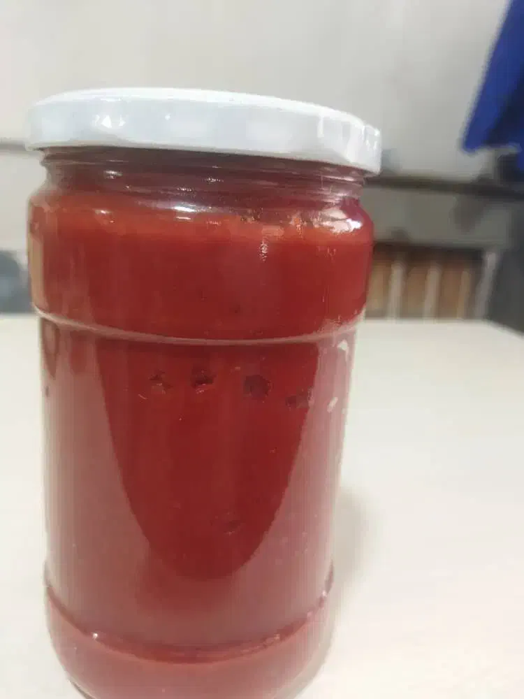 خاکشیر ورب گوجه|خوردنی و آشامیدنی|شیراز, رکن‌آباد|دیوار