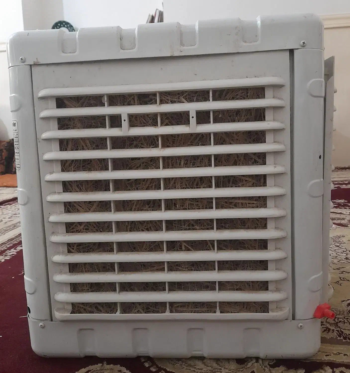 کولر ابی|کولر آبی|بندر دیر, |دیوار