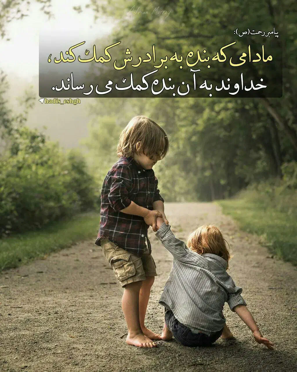 راهنمایی|فعالیت داوطلبانه تحقیقاتی|نیشابور, دارایی|دیوار