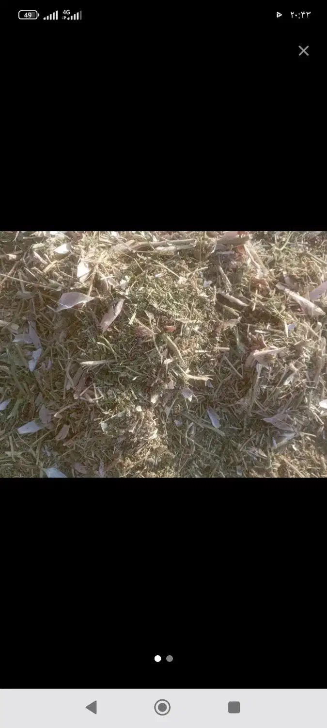 کاه لوبیا|لوازم جانبی حیوانات|صائین قلعه, |دیوار