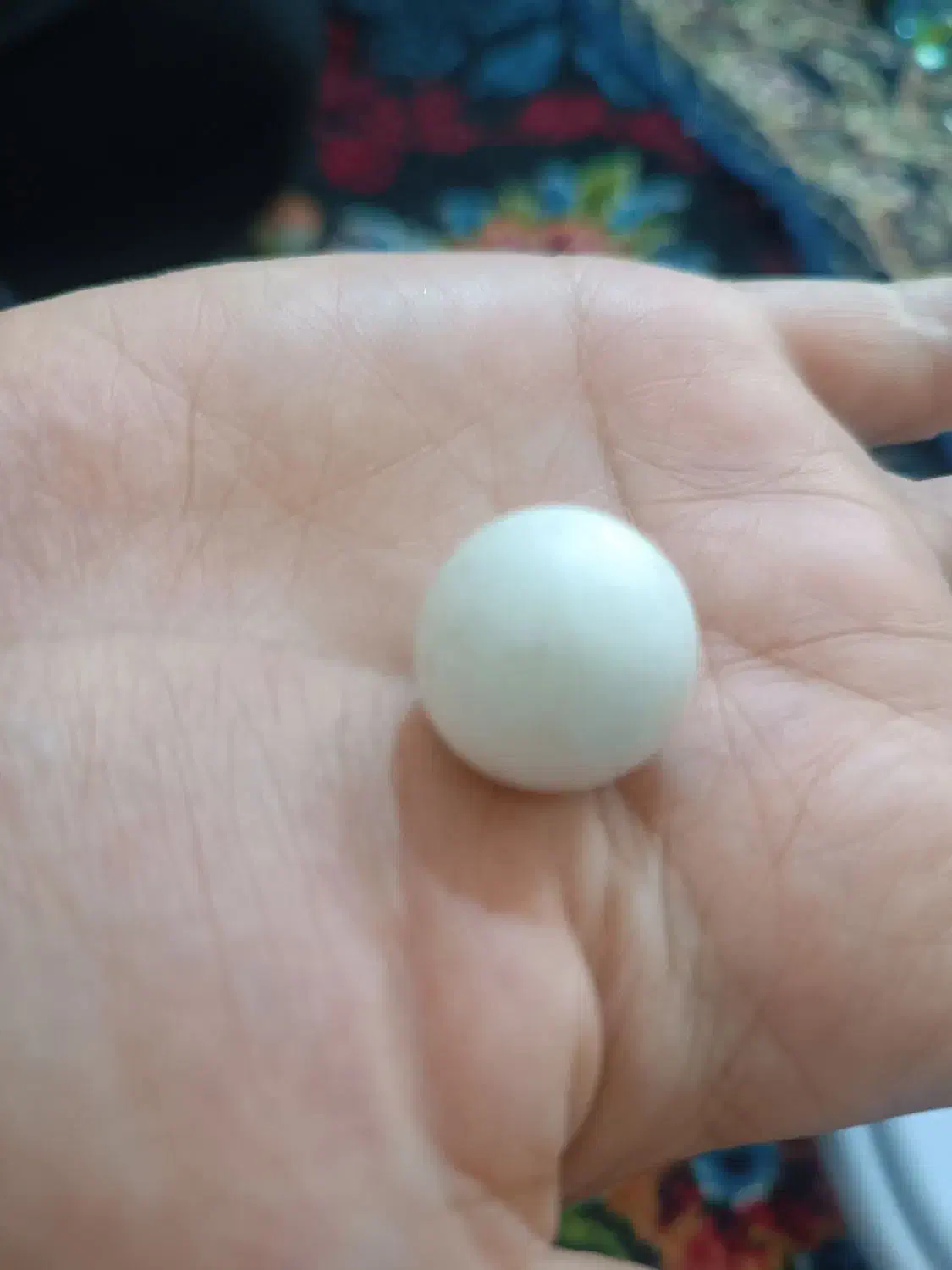 سنگ|جواهرات|مشهد, امیرآباد|دیوار