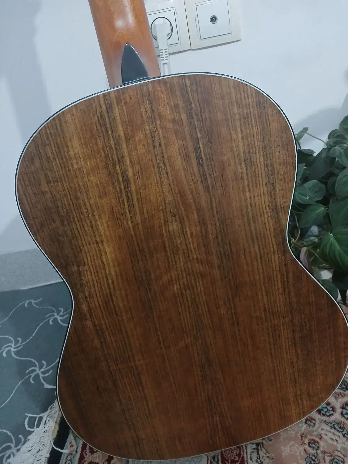 گیتار کلاسیکAdmira Juanita|گیتار، بیس، امپلیفایر|شیراز, فرهنگیان|دیوار