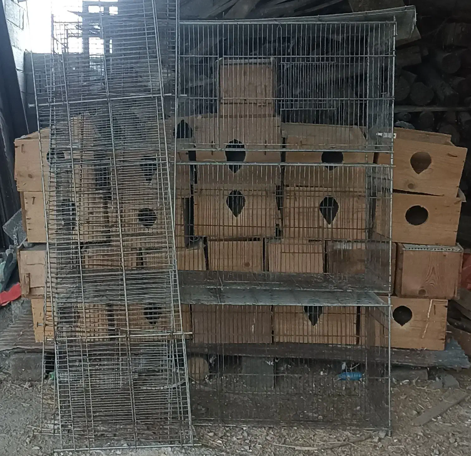 قفس پران ولانه عروس هلندی|لوازم جانبی حیوانات|رامسر, |دیوار