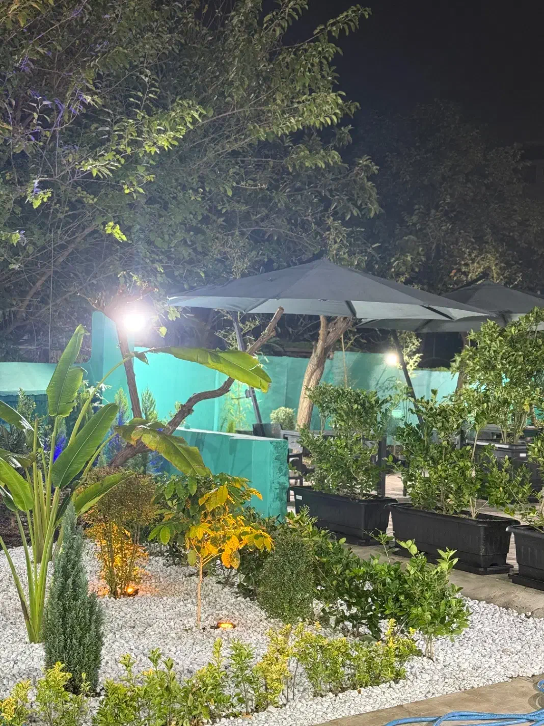 باریستا ابمیوه و شیرموز|استخدام خدمات فروشگاه و رستوران|قائم‌شهر, |دیوار