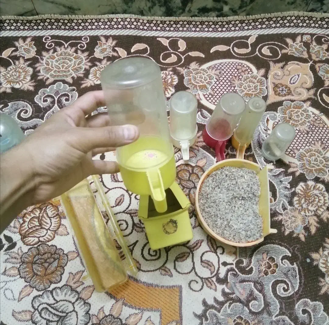 لونه و لوازم معاوضه با قفس|لوازم جانبی حیوانات|مشهد, شهید قربانی|دیوار