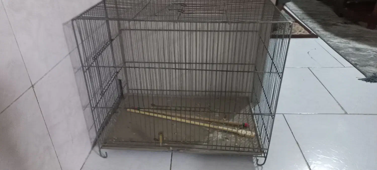 قفس پرنده|لوازم جانبی حیوانات|تهران, مینای شمالی (مخبر)|دیوار