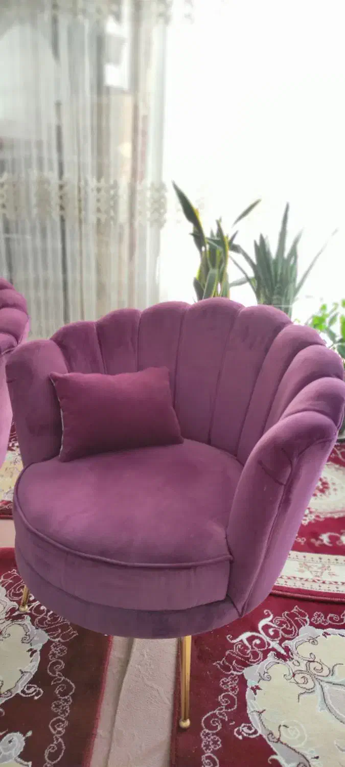 مبل صدفی|مبلمان خانگی و میز عسلی|باغستان, |دیوار