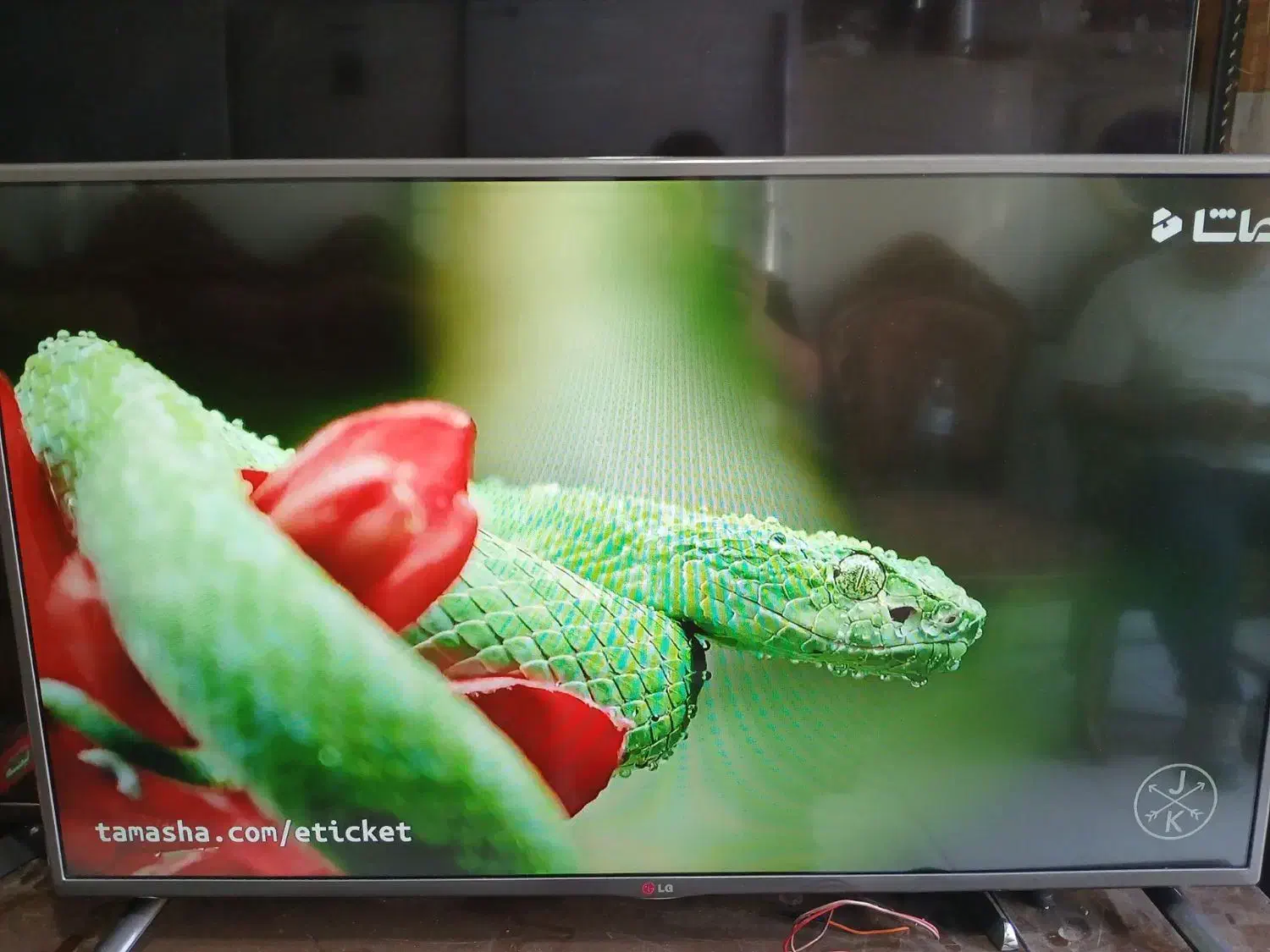 تلویزیون ۴۳ ال جی ال ای دی|تلویزیون و پروژکتور|قزوین, |دیوار