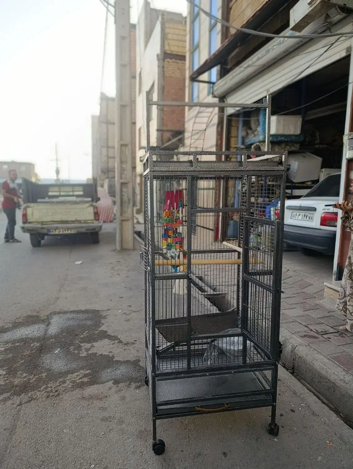 قفس بزرگ طوطی در حد نو|لوازم جانبی حیوانات|رباطکریم, رباطکریم|دیوار