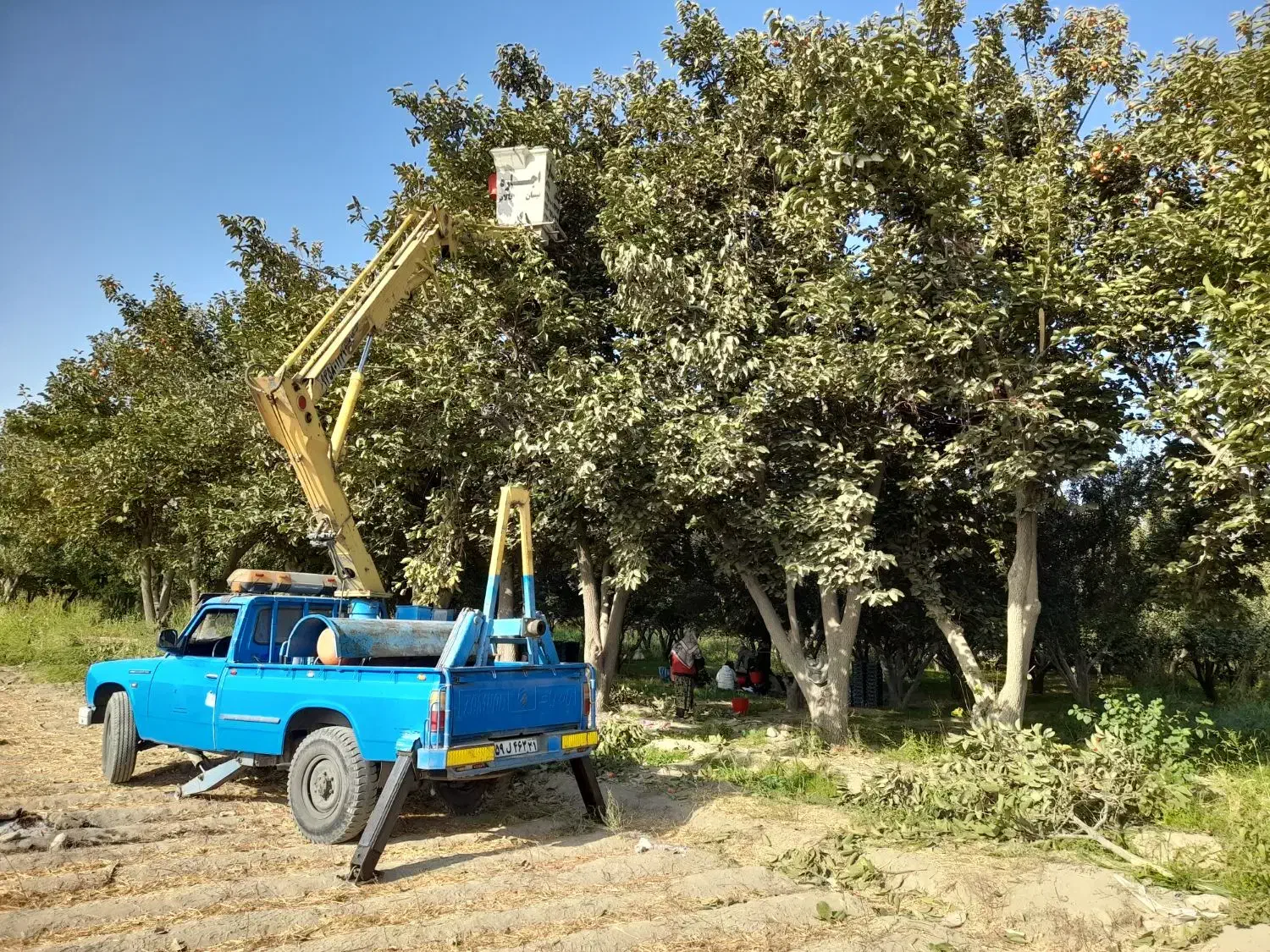 اجاره نیسان بالابر کابین دار سبدار شهریار|خدمات حمل و نقل|شهریار, شهریار|دیوار