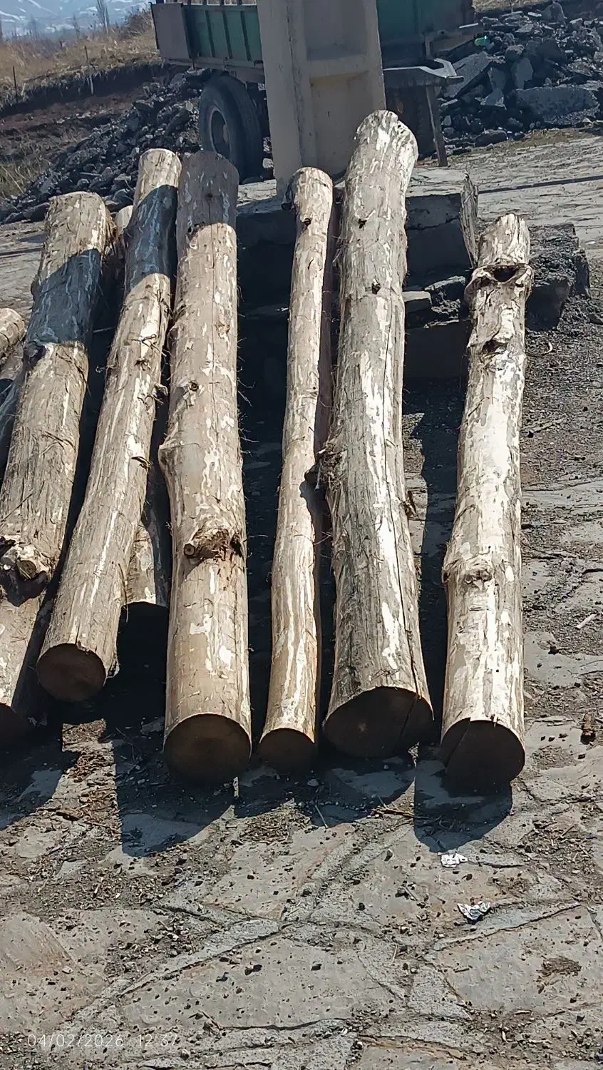 چوب خشک|مصالح و تجهیزات ساختمان|سیلوانه, |دیوار