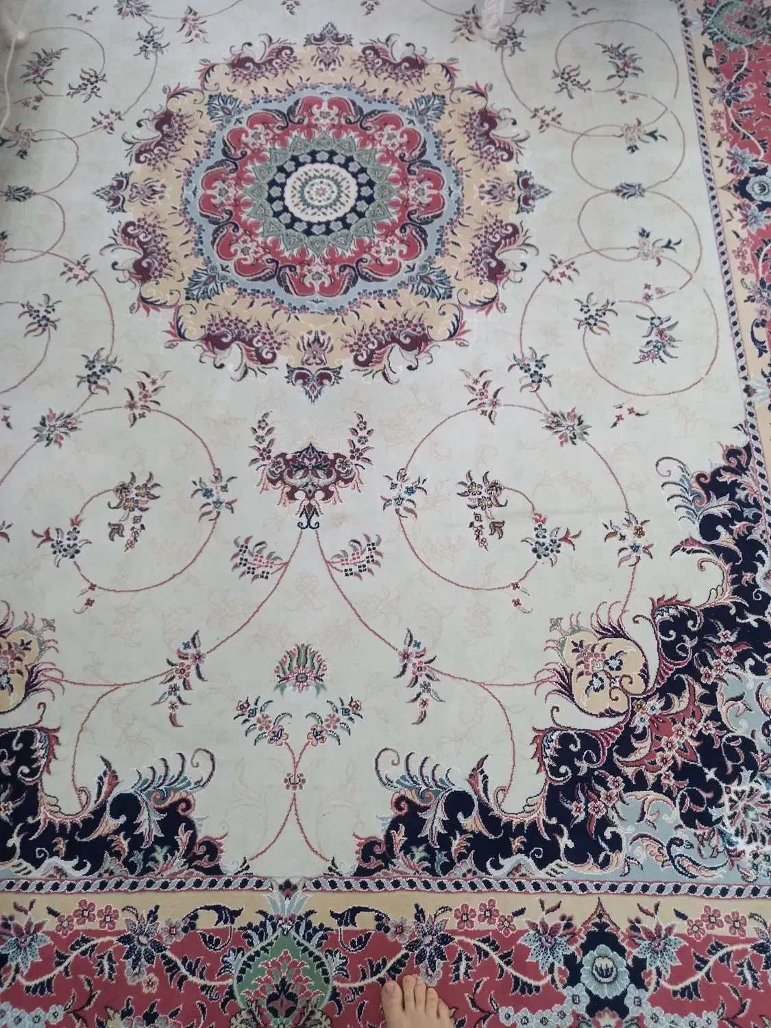 فرش نگین مشهد|فرش|تهران, شهرک گلها (تهرانسر)|دیوار