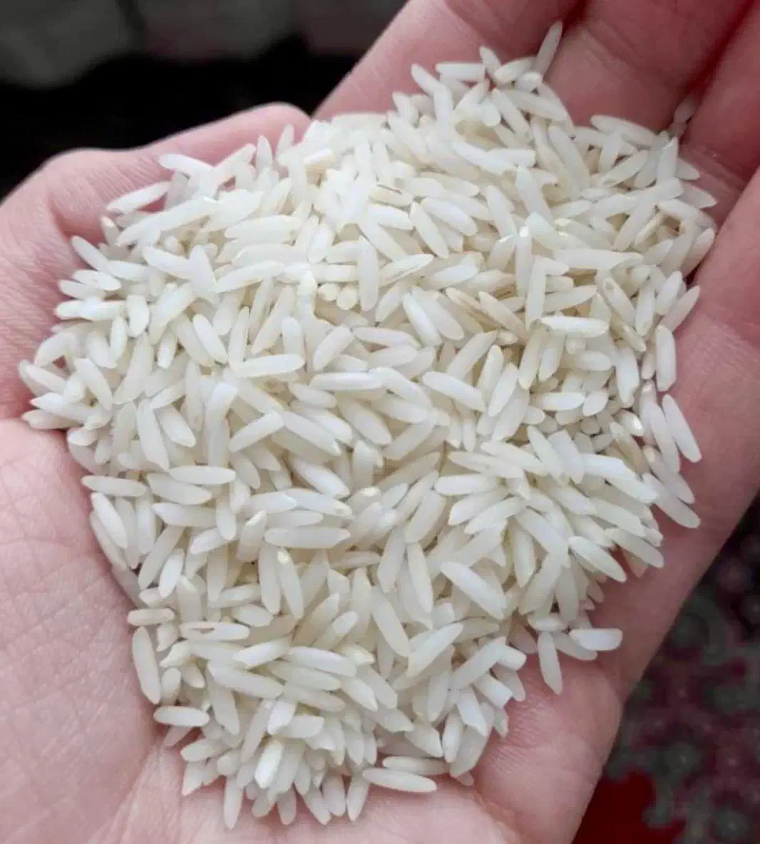 برنج هاشمی محموداباد|خوردنی و آشامیدنی|محمودآباد, |دیوار