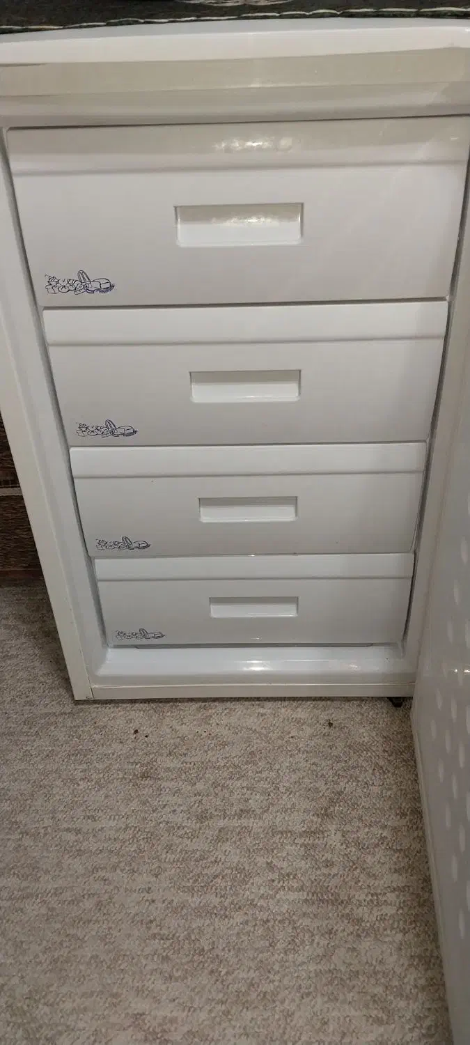 یخچال فریزر هتلی|کیف، کفش، کمربند|کرج, اخترآباد|دیوار