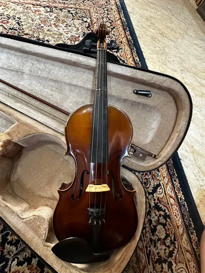ویولن 3/4  TF142|ویولن|تهران, صادقیه|دیوار