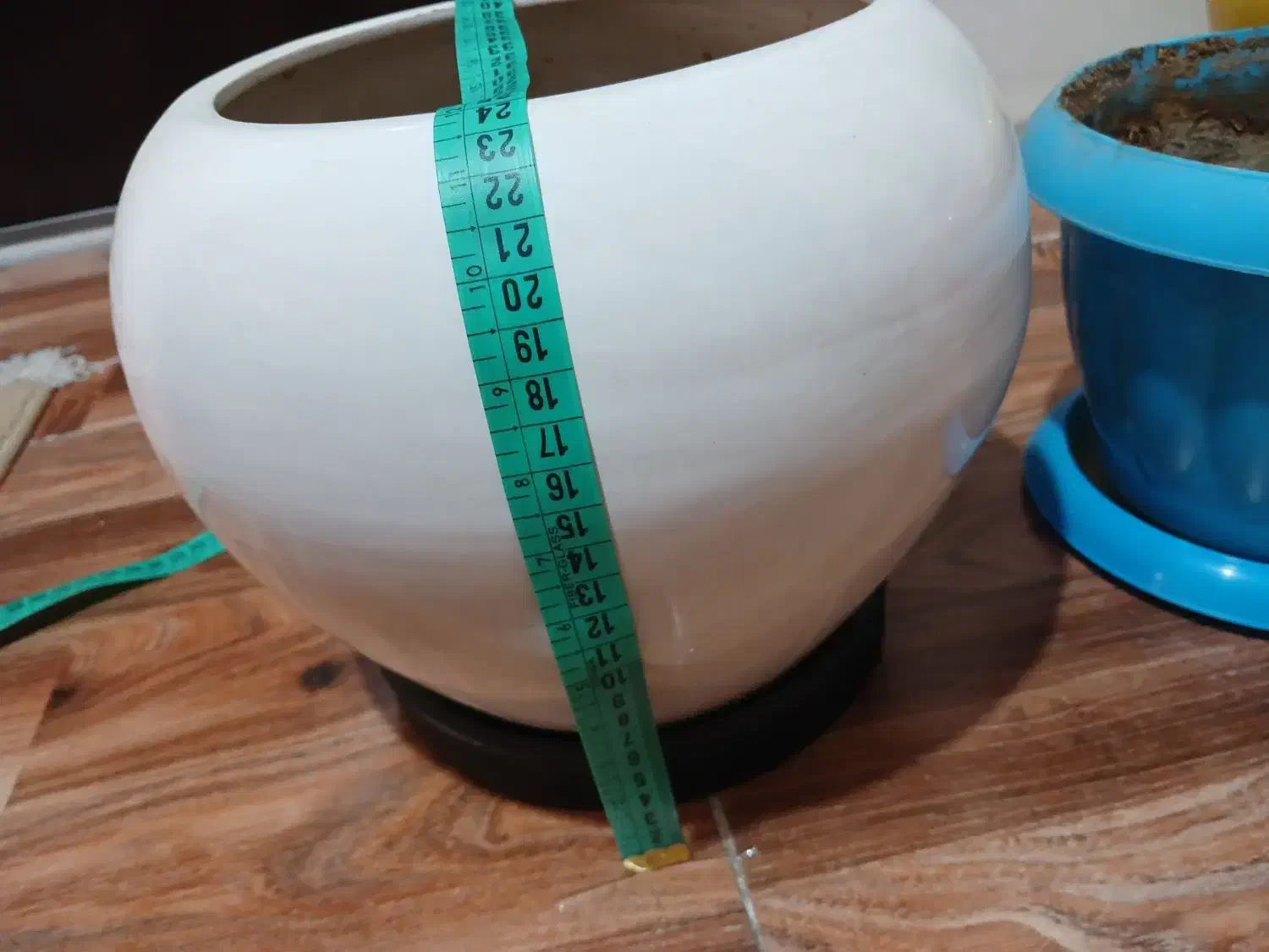 گلدان سرامیکی و پلاستیکی|گل و گیاه طبیعی|هشتگرد, فاز ۲ مهستان|دیوار