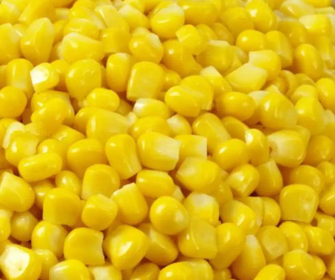 ذرت مکزیکی منجمد|خوردنی و آشامیدنی|خان ببین, |دیوار