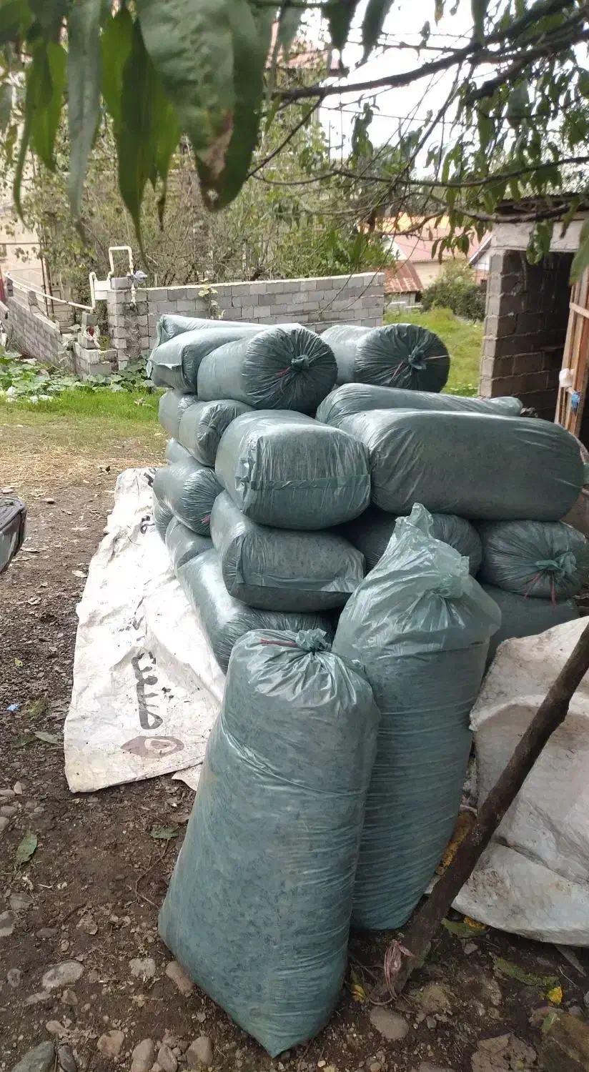 فروش سیلو درجه یک|حیوانات مزرعه|رشت, شهرک قدس|دیوار