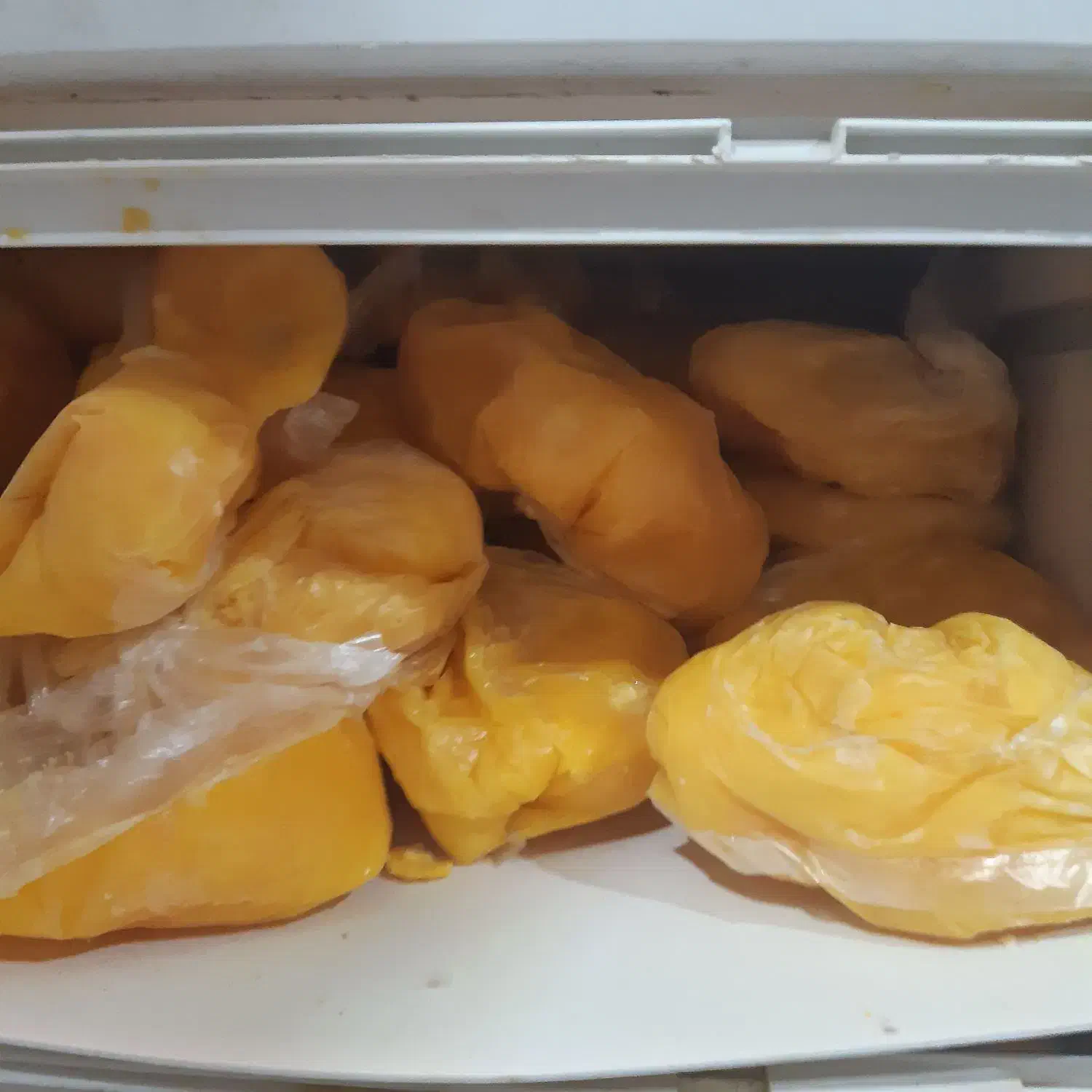 زرده تخم مرغ یخ زده|خوردنی و آشامیدنی|قائمشهر, |دیوار