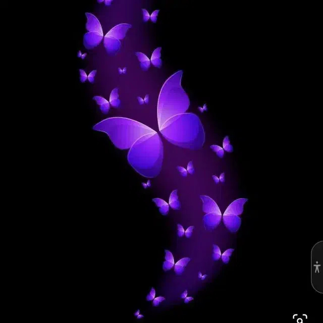 نظافت انجام میشه|خدمات نظافت|نوشهر, |دیوار