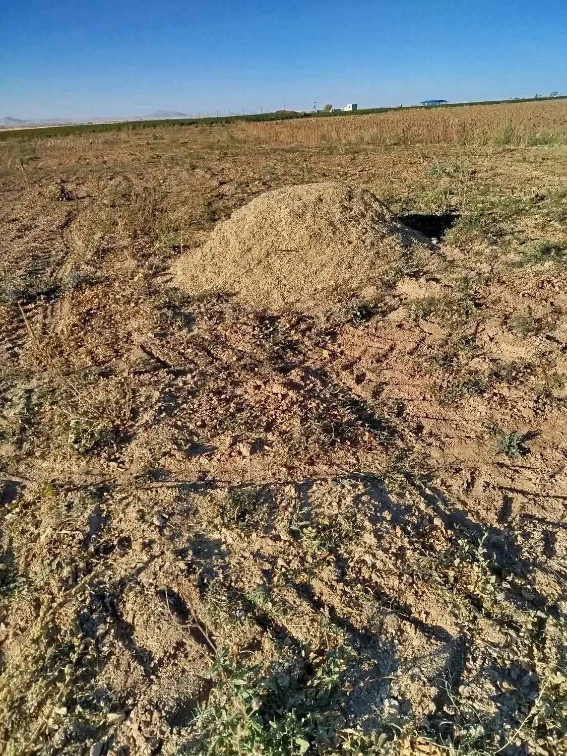 کود|خدمات باغبانی و درختکاری|قروه, |دیوار